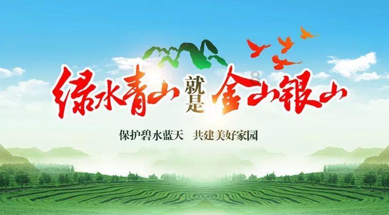 美丽海洋找不同